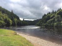 Summer Hospitality Fishing Days