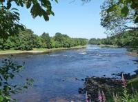 River Tay Salmon Fishing Events