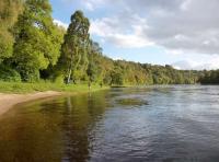 Perfect Scottish Salmon Fishing Venues