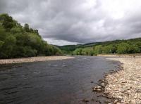 The Perfect Scottish Salmon Rivers