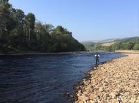 Salmon Fly Fishing Events