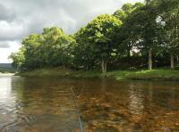 Salmon Fishing Expectations