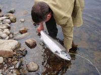 Special Moments On The Salmon River