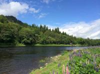 Scottish Salmon Fishing Paradise