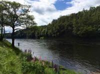 The Perfect Riverbank Setting
