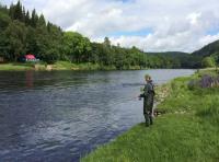 Learning To Fish For Salmon