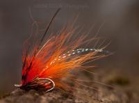 Salmon Fly Selection