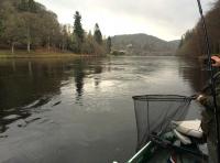 Playing A Hard Fighting Salmon