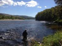 Fly Fishing For Salmon