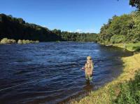 The Ambiance Of The Salmon River