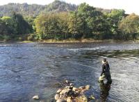 Lady Salmon Fishers