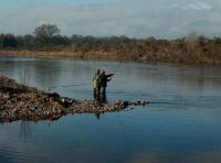 Fantastic Riverbank Scenery