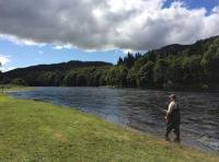 Enjoying The Riverbank