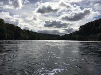 Salmon River Therapy