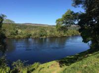 The Perfect Salmon River