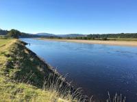The Perfect River Setting
