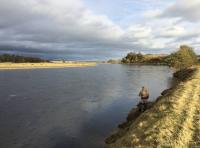 Book A Fishing Event