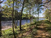 Perfect Riverbank Moments