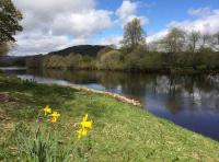 The Beautiful Scottish Riverbanks