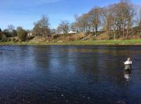 Fishing The River Tay