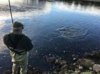 Salmon Fishing Events Scotland