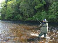 Fly Fishing For Salmon