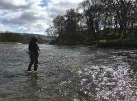 Salmon Fly Fishing