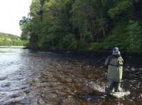 Learning How To Salmon Fish