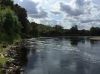 River Tay Salmon Pools