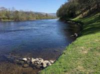 Perfect Tay Riverbanks