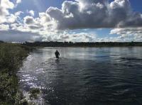 The Enjoyment Of Salmon Fishing