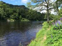 The River Tay In Springtime