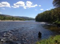 Fishing Events In Scotland