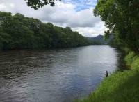 River Tay Salmon Fishing