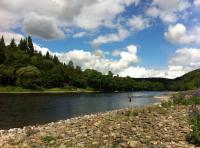 Fishing The River Tay