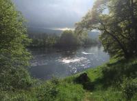 The Natural Scottish Pursuit
