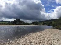 Corporate Salmon Fishing