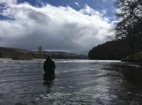 The Best Salmon Fishing