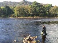 Merry Christmas From The River Tay