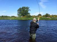 Salmon Fishing Tuition