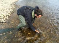 Releasing A River Tay Salmon