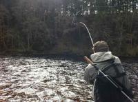 Learning To Fly Fish