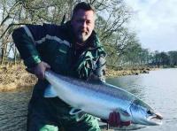 Huge Tay Salmon