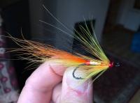 Fishing The Salmon Fly