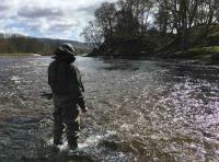 Salmon River Therapy