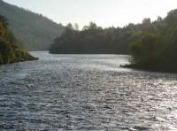 The Beautiful Streams Of The Tay