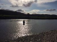 Salmon Fly Fishing Brilliance
