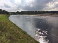 Catching Salmon On The Fly Rod