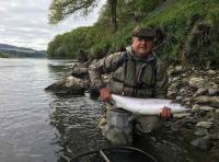 Catching Perfect Salmon