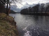 Salmon River Beauty